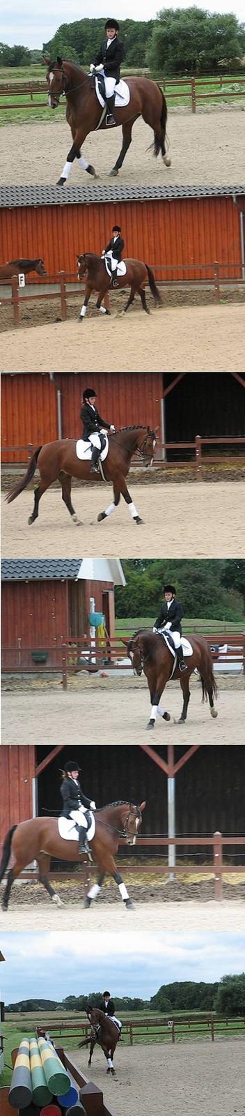 Oldenborg Fie <33 † - Nåårh  <3 ( MIn lille basse til hygge stævne lørdag den 9 september 2006 . vandt begge klassesr <3 HAHA det sidste billede prøver hun at løbe væk fra de bomme der ses og dommertårnet . for det var meget farligt :D :D HAHA <3 billede 10