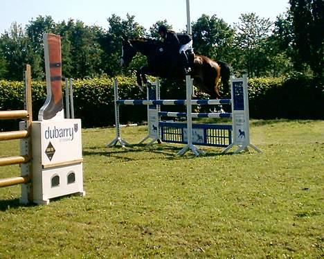 Dansk Varmblod NAPOLI - Fynsmesterskab for seniorer. Christina Baun rider ham :) billede 2