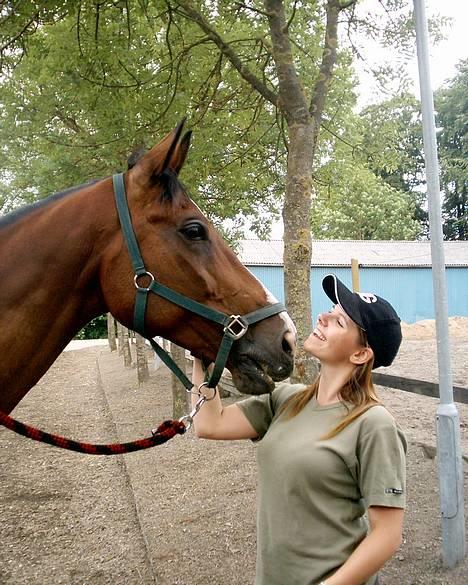 Dansk Varmblod NAPOLI - NYT: Mig og Napoli i dag (27/6) billede 3