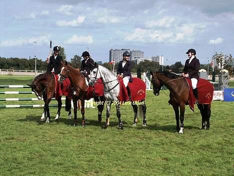 Dansk Varmblod NAPOLI - Hele holdet fra Fyens Rideklub :) Fra venstre: Christina Baun på Napoli, Camilla G. Thomasen på Calea, Lotte Poulsen på Callisto og Sarah K. Rosenlund på Holgerdalens Jean Maire.  billede 7
