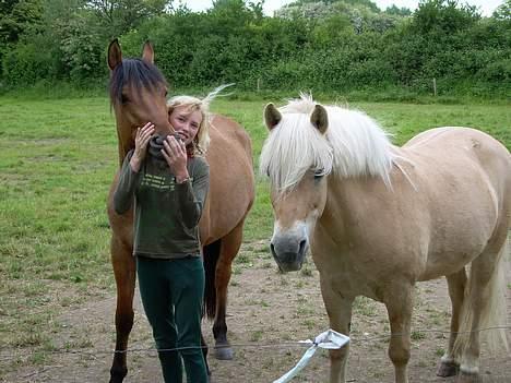 Anden særlig race Stjerne  - se mit hår. hehe., det er Casper der står ved siden af.. billede 17