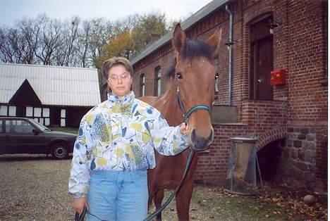 Standardbred ¨˜”°º• Ulrikka(solgt)•º°” - Her står vi på Brendstrup gård før den blev lukket ned billede 12