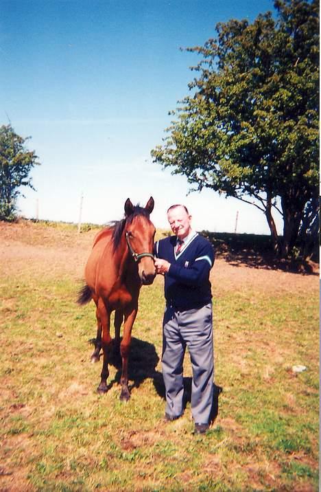 Standardbred ¨˜”°º• Ulrikka(solgt)•º°” - Karl + Ulrikka på  Brabrandstiens sommerfold billede 13