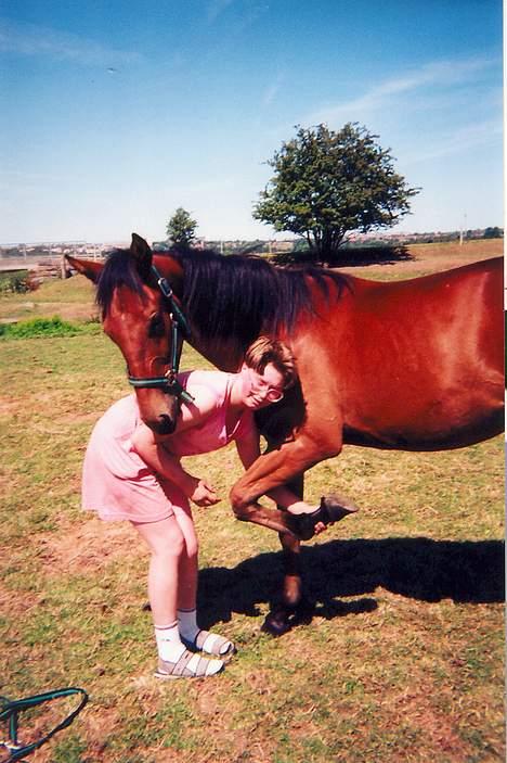 Standardbred ¨˜”°º• Ulrikka(solgt)•º°” - Her renser jeg hoven billede 15