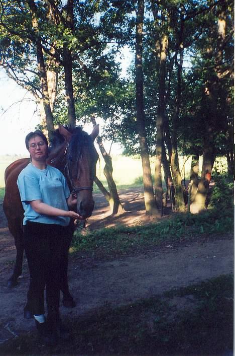 Standardbred ¨˜”°º• Ulrikka(solgt)•º°” - Her hygger vi os på Brabrandstien anden sommerfold billede 16