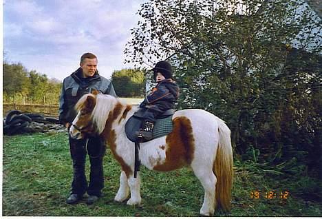 Anden særlig race Tronde (R.I.P.) - Mathias får sig en tur på sin yndlingspony billede 4
