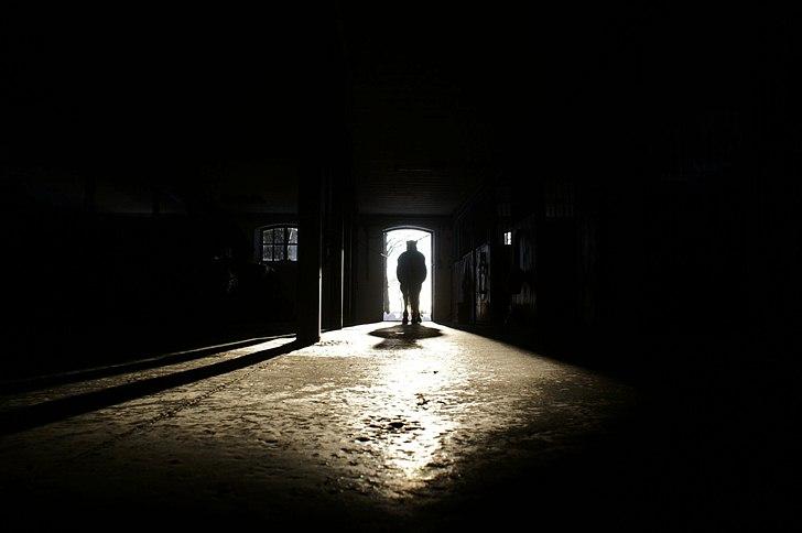 Fjordhest Ingegård's Tanna - I stald-døren på årets første dag. 1/1-2011 BILLEDET MÅ IKKE KOPIERES OG BRUGES TIL ANDRE NET SIDER billede 12