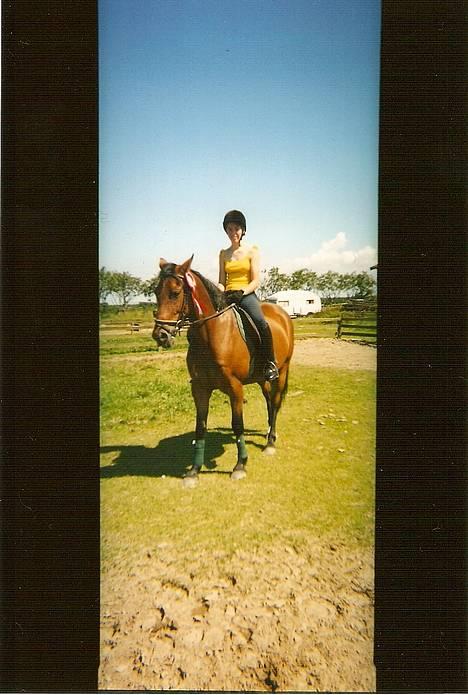 DSP <3 Freja. *I HIMLEN* - # 17. Freja på Nielsminde ridelejr. Det var den sommer, hvor jeg købte hende:) billede 17