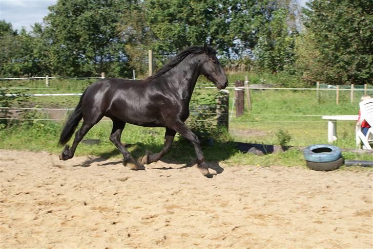 Frieser Nancy død d.19-02-2009 - sep 2008 billede 13