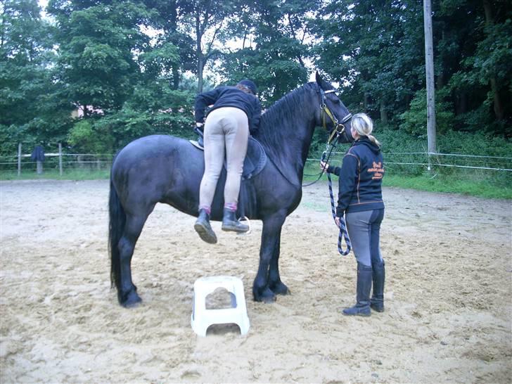 Frieser Nancy død d.19-02-2009 - hvad laver hun dog? billede 14