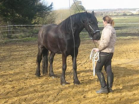 Frieser Nancy død d.19-02-2009 - 16-03-2007   sød er hun da billede 16