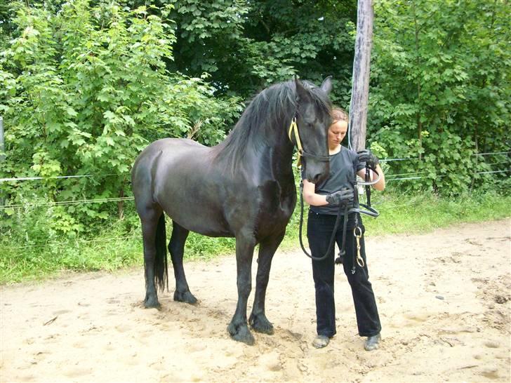 Frieser Nancy død d.19-02-2009 - 16-03-2007 billede 18