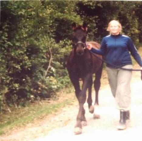 Oldenborg Lucius Bedsted solgt - Katrine(ejer) og Lucius ude at gå tur jeg er på min første vej tur og er 2 mdr(billed af et billed derfor ringe kvalitet) billede 9