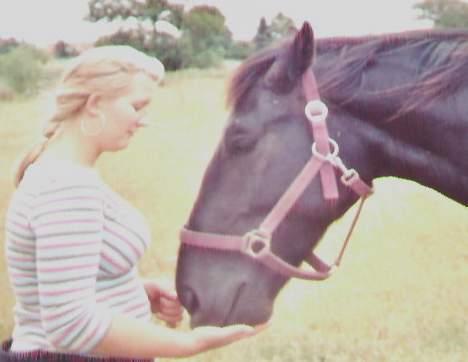 Oldenborg Lucius Bedsted solgt - Et skønt øjeblik mellem hest og ejer... Den sidste sommer hvor jeg fik lov at være hingst... Blev katret 1 marts 06.(billed af et billed derfor ringe kvalitet) billede 11