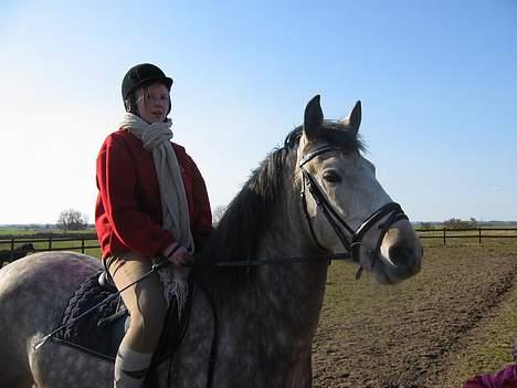 Anden særlig race Paddinqton - Miiqh&Padde <,3  billede 4