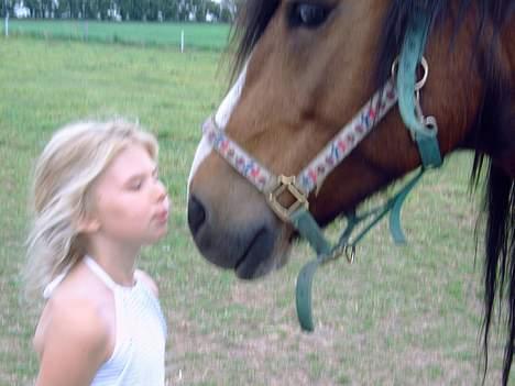 Dales Nevada - så nysser vi lidt billede 17