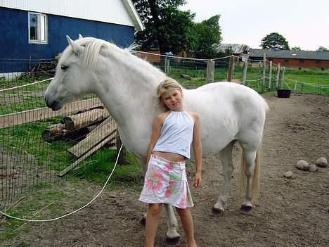Islænder beauty - en slapper billede 4