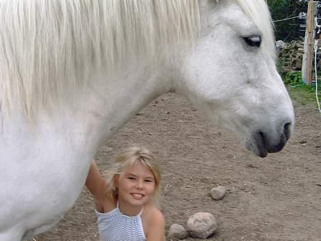 Islænder beauty - hyggetime billede 5