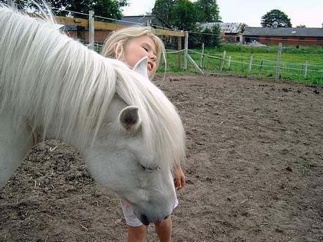 Islænder beauty - fin nederdel du har billede 6