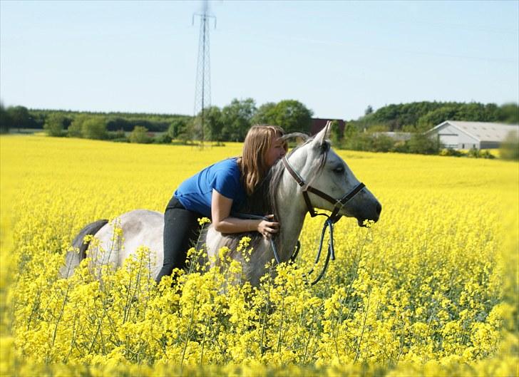 Anden særlig race Vanggården's Mister Magic - Jeg elsker dig så højt, jeg ikke selv kan forstå det pony! Du er mit eventyr..! D. 31. maj 2010 billede 6