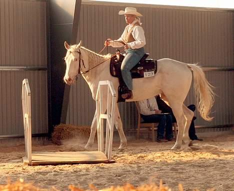 Paint Charlies Qiani Ice - broen i Trail billede 4