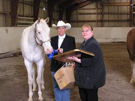 Paint Charlies Qiani Ice - første plads i showmanship at halter/ OHWR trænings stævne billede 6
