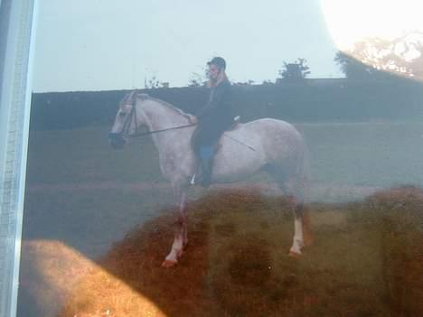 Anden særlig race Jack - Jack og mor:)  billede 2