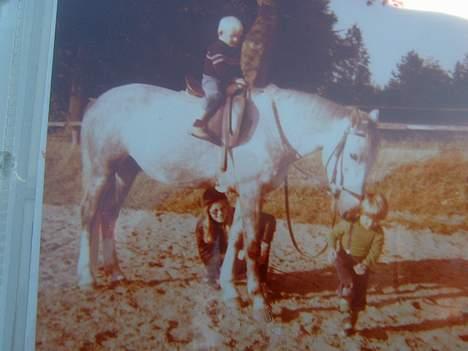 Anden særlig race Jack - Se from som et lam<3 billede 4