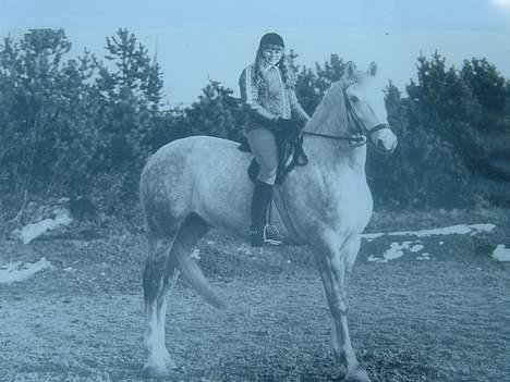 Anden særlig race Jack - Mor og Jack... billede 5