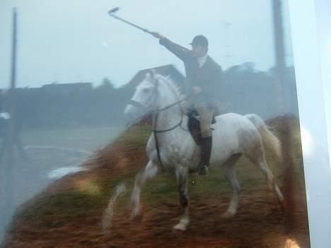 Anden særlig race Jack - Villy lånte ham til ringridning, og de vandt selvfølgelig billede 6