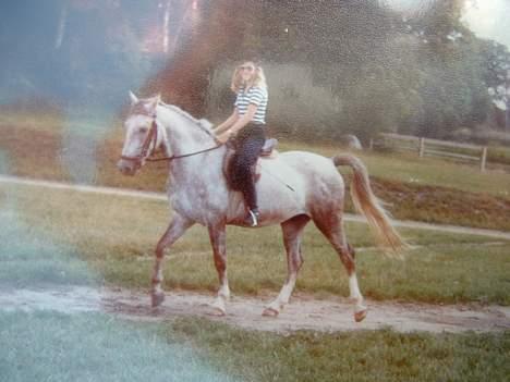 Anden særlig race Jack - Ude og skridte billede 7