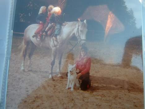 Anden særlig race Jack - Sådan kan man også gøre det billede 8