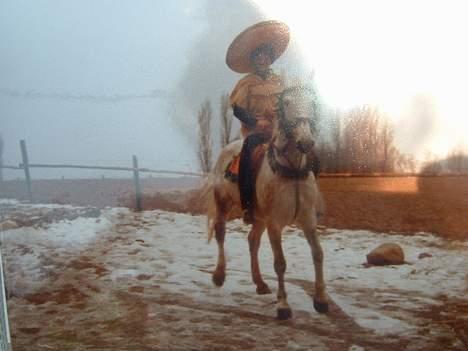 Anden særlig race Jack - Fastelavn:) mexicaner:) (jeg*sabrina* er faktisk ½ mexicaner) billede 11