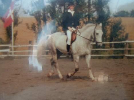 Anden særlig race Jack - Dressur, med parten Pia. billede 12