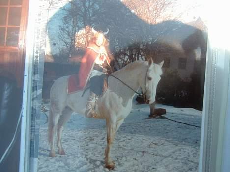 Anden særlig race Jack - Viking, fastelavn billede 15