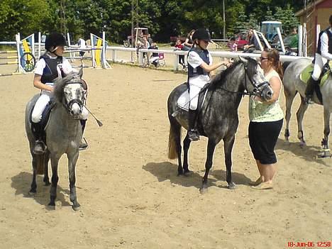 Anden særlig race Grey Star #solgt# - 1. pl. i LB i Ørting Sportsrideklub den 18/6 2006 (det er mig og Star til venstre) billede 16