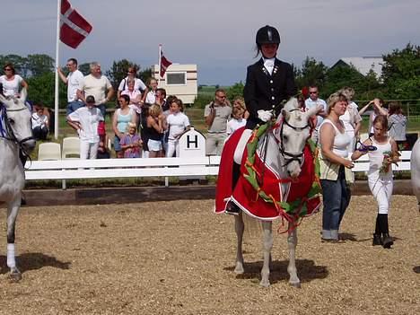 Anden særlig race Julius - Sydjysk mesterskab 2006 billede 6