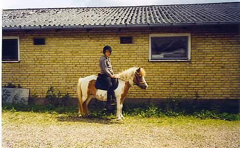 Anden særlig race Tronde (R.I.P.) - Mette og Tronde på vej på tur. billede 6