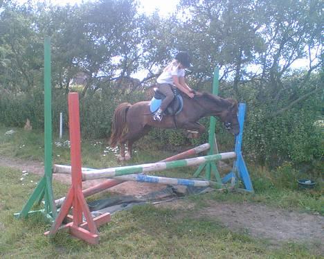Anden særlig race Victor - Victor og Sabine hopper ca. 80 cm billede 1