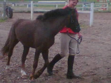 Anden særlig race Victor - de går stadig ... billede 4