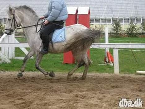 Anden særlig race lucky billede 10