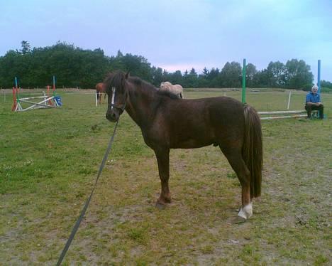 Anden særlig race Victor - victor d. 19 juni 2006 billede 10