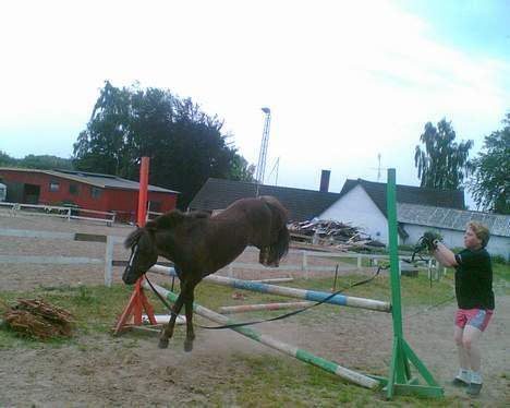 Anden særlig race Victor - victor hopper 85 cm. billede 11