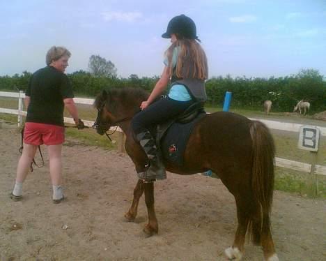 Anden særlig race Victor - så går vi med rytter på... billede 13