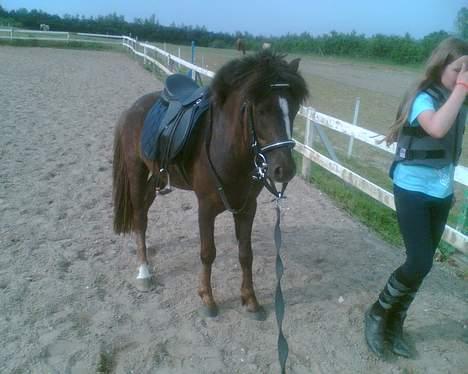 Anden særlig race Victor - så er jeg klar... billede 14