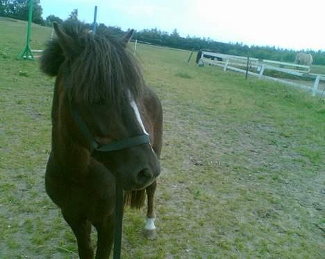 Anden særlig race Victor - hej hej... billede 17