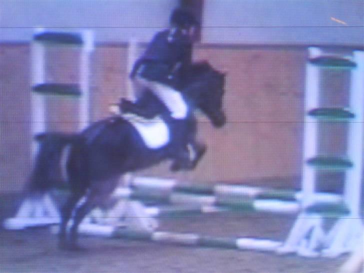 Dartmoor Beauty - Mig og Buti til stævne i Dalby LD :´) <333 2003 ELsker dig butii <33 billede 1