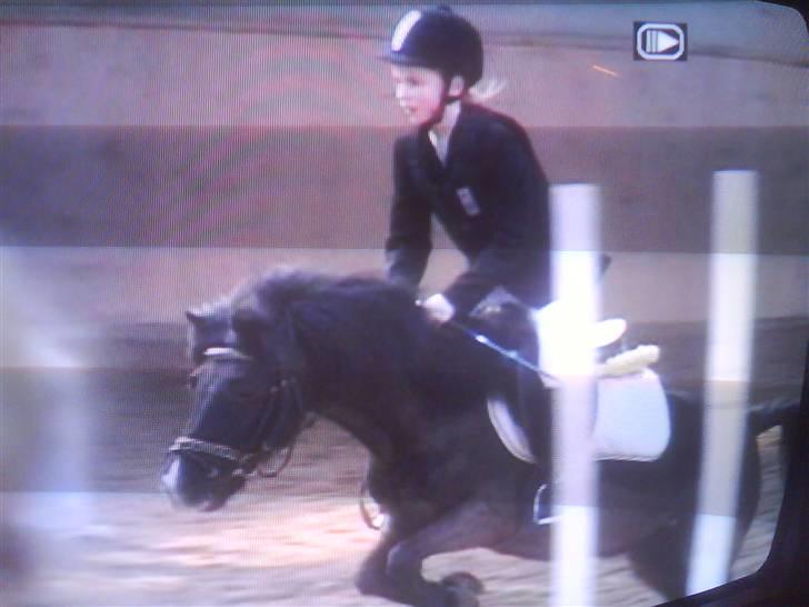 Dartmoor Beauty - Uhhh hvor er det koldt  2005 billede 9