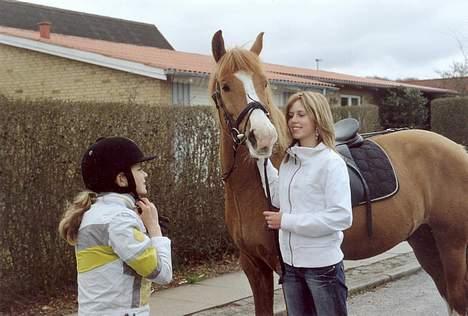 Anden særlig race Taura billede 5