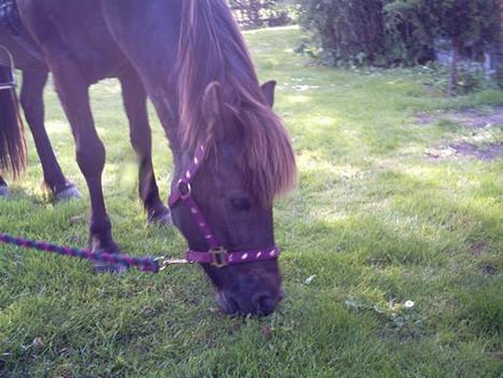 {{currentPhoto.altText}} billede {{currentPhoto.number}}